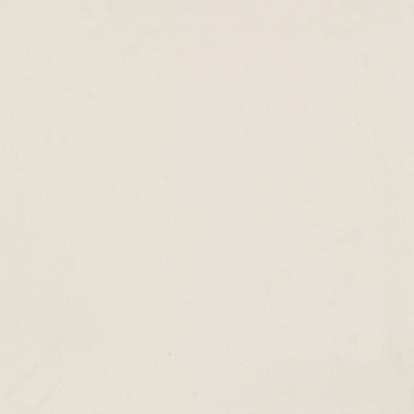 天山雪玉  WM-30001(自然面)  600x600