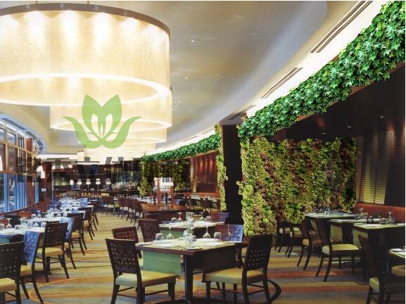 酒店餐厅植物墙.jpg