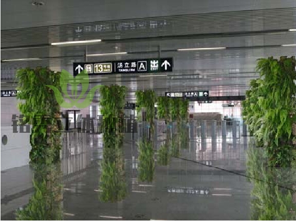 火车站地下通道植物墙.jpg