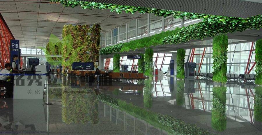 机场大厅植物墙.jpg