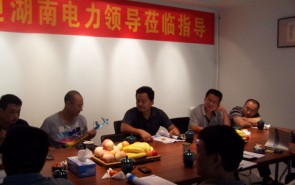 湖南電力公司領導蒞臨指導