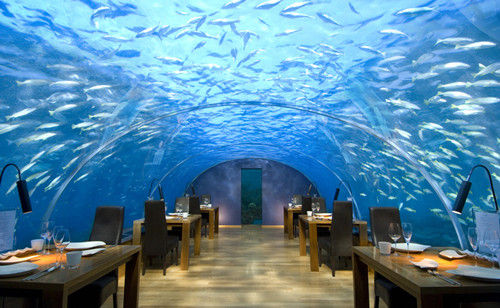 海底餐厅图片1.png