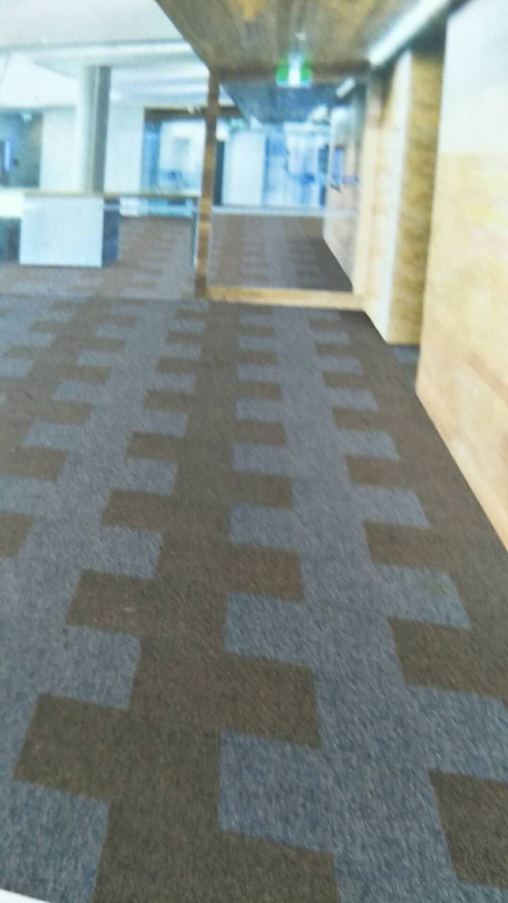 工程地毯.jpg