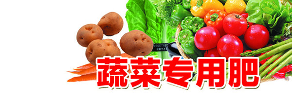 蔬菜.jpg