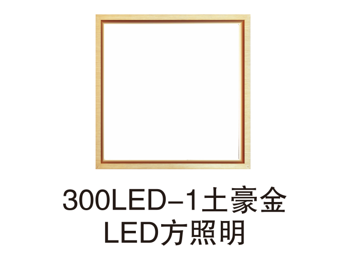 300LED-1土豪金LED方照明