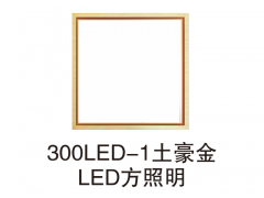 300LED-1土豪金LED方照明
