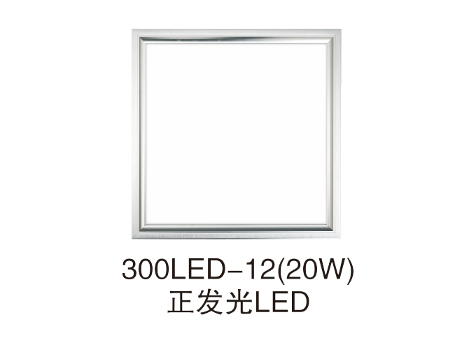 300lLED-12(20W)正发光LED