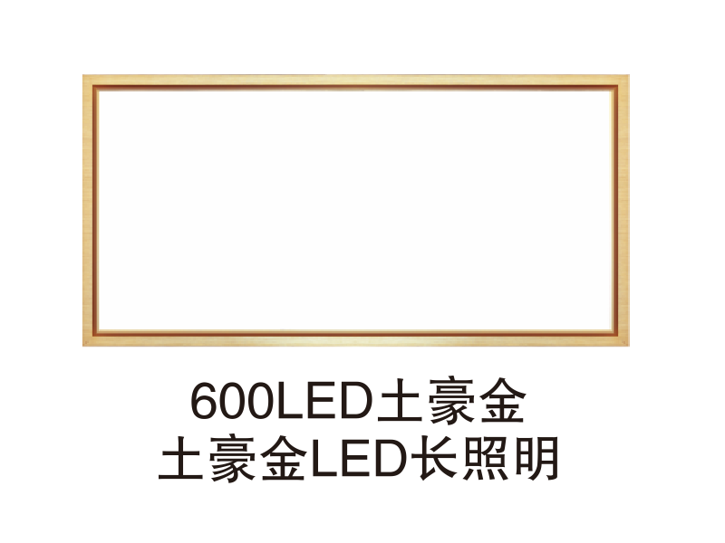 600LED土豪金LED长照明