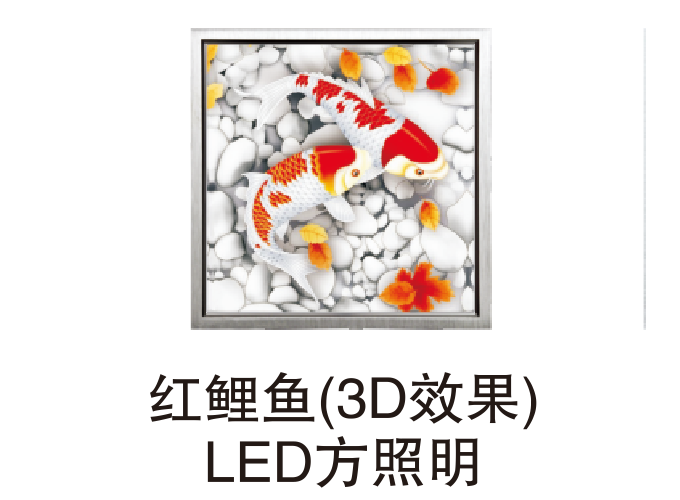 红鲤鱼（3D效果）LED方照明