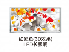 红鲤鱼（3D效果）LED长照明