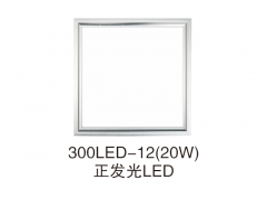300lLED-12(20W)正发光LED