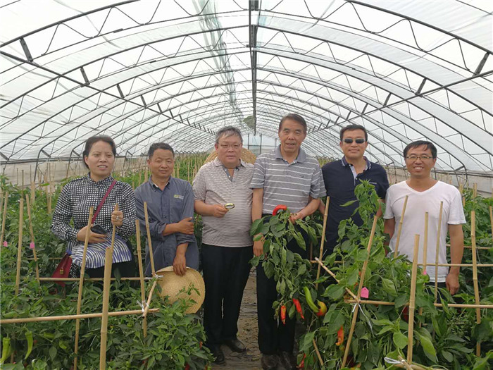 生产应用-中国农科院蔬菜研究所试验农场病虫害防治技术合作