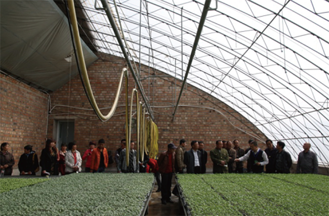 2017年内蒙古农科院蔬菜所育苗基地用GC16防治潜叶蝇