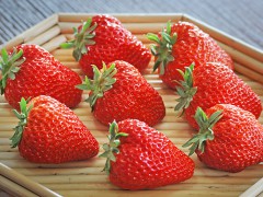 5.22草莓采摘3.jpg