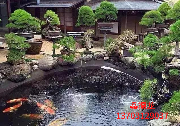 锦鲤池和庭院鱼池设计