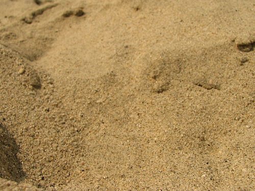 沙子系列