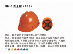 GM-5 安全帽（ABS）